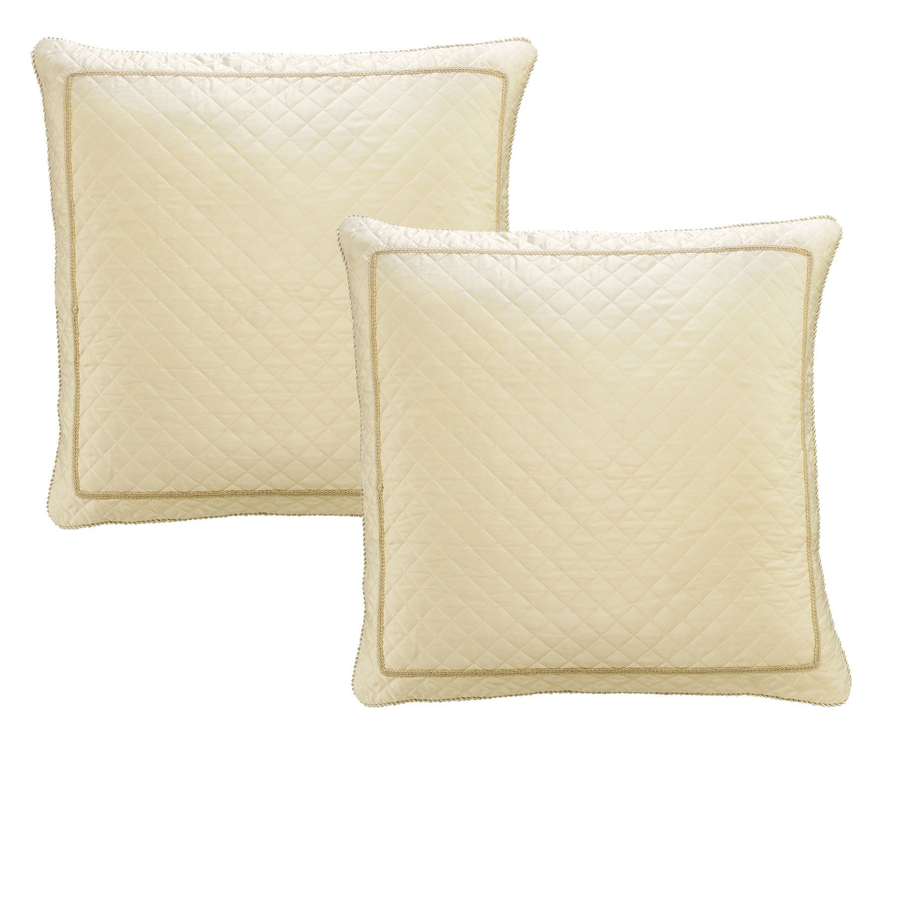 Gold euro store pillow cases
