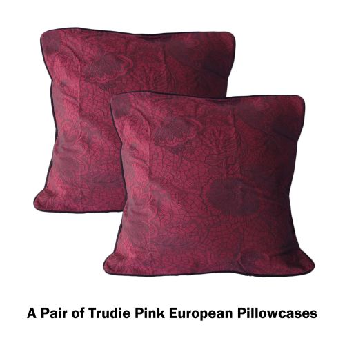 Pair of Trudie Lace European Pillowcases 65 x 65 cm by Accessorize
