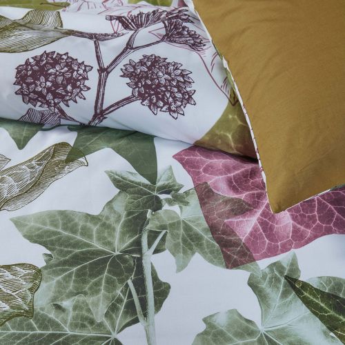 Ivy Multi Cotton Quilt Cover Set by Bedding House