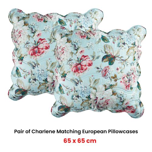 Pair of Charlene European Pillowcases by Bianca