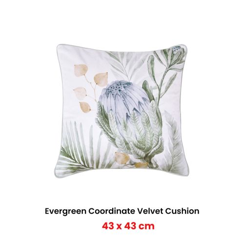 Evergreen Coordinate Velvet Square Filled Cushion by Bianca