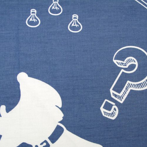 Little Scientist Einstein Cotton Printed Quilt Cover Set Single