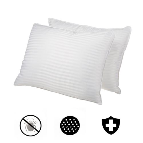 Pack of 2 Down Alternative Standard Pillows