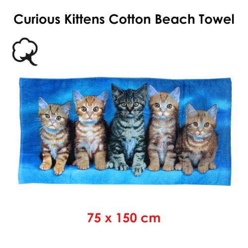 Curious Kittens Cotton Beach Towel 75 x 150 cm
