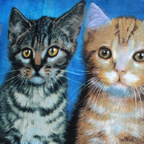 Curious Kittens Cotton Beach Towel 75 x 150 cm
